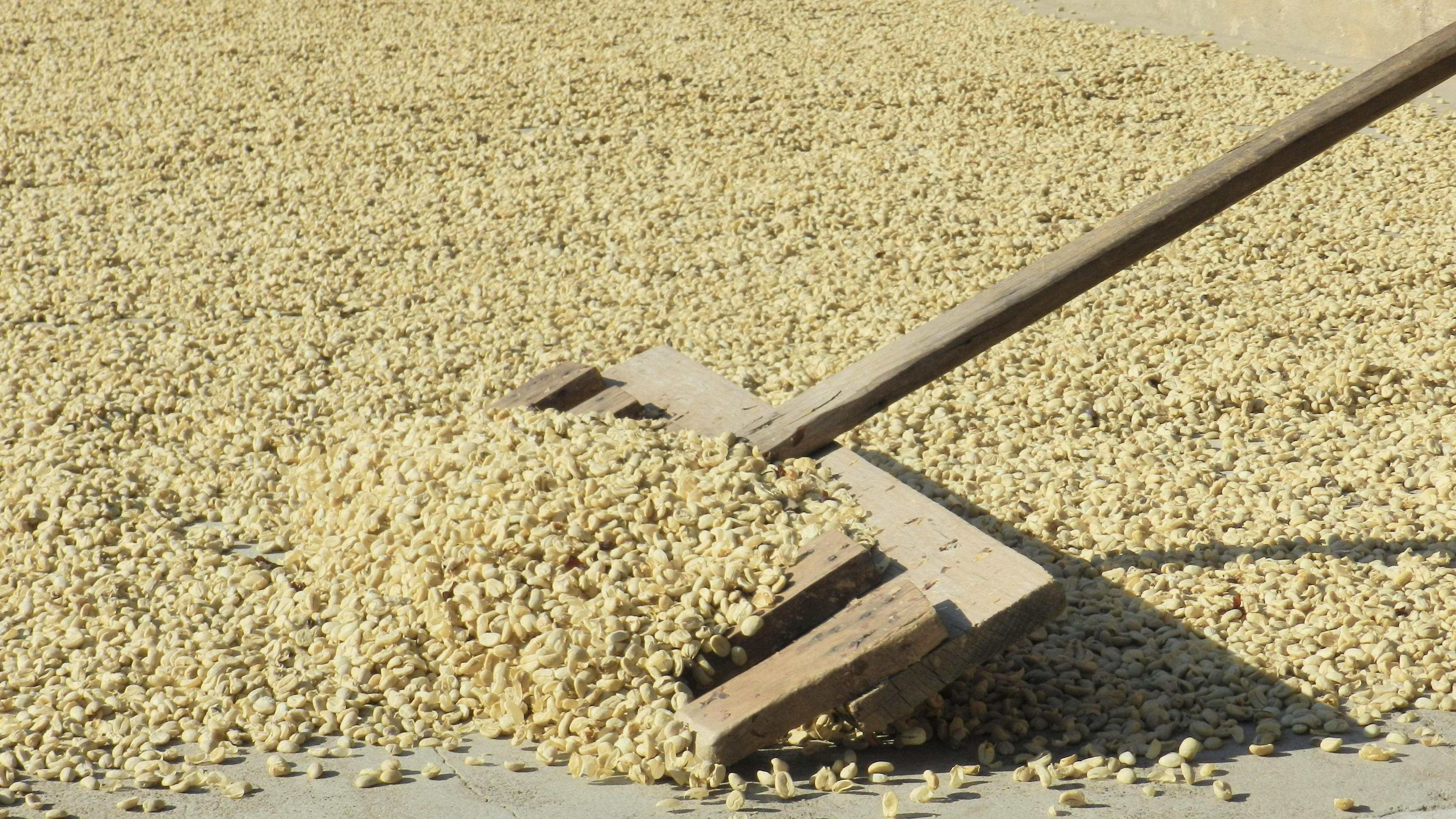 Guatemala Drying-compressed